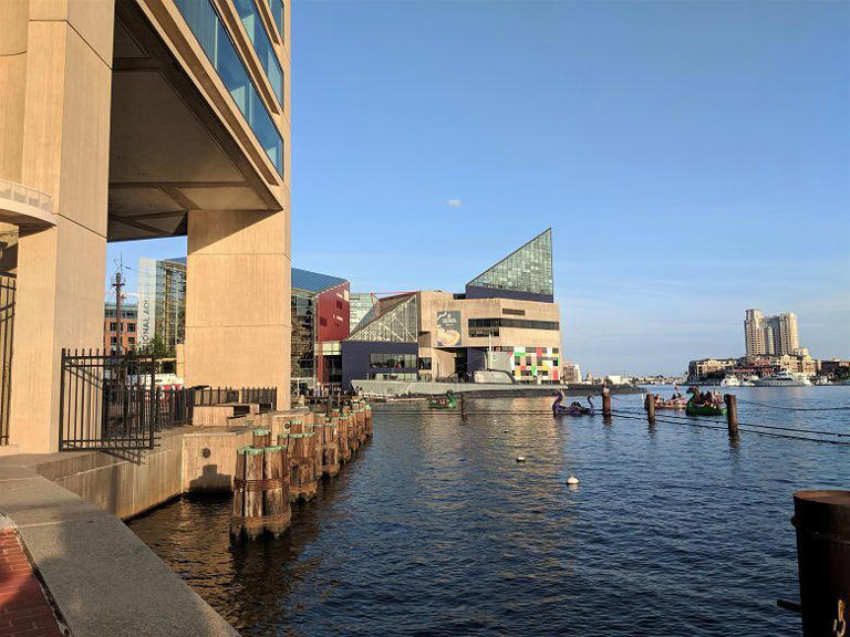 44 Best Things to Do in Washington DC