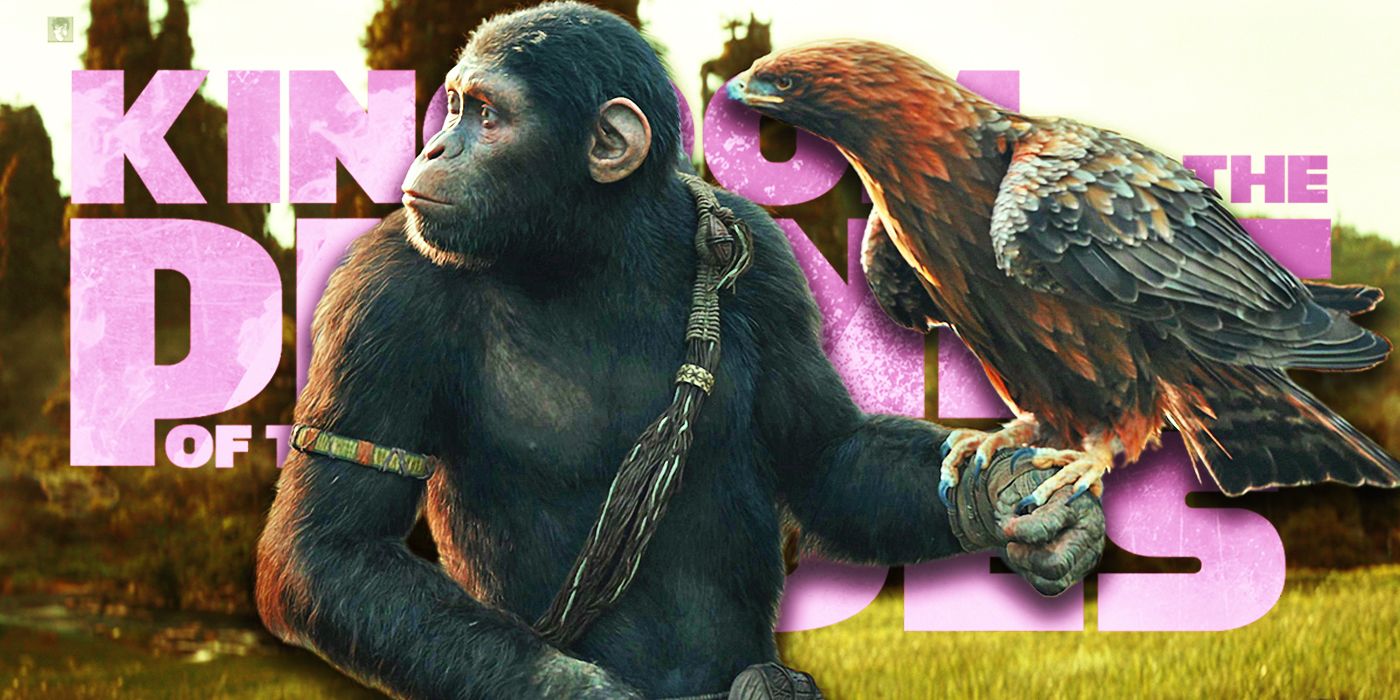 rotten tomatoes score revealed for kingdom of the planet of the apes