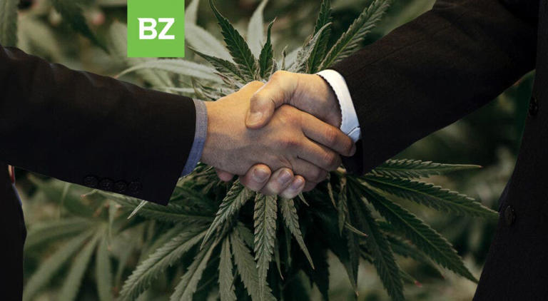 Nova Cannabis Hits 100 Stores As SNDL Transfers Dutch Love To Streamline Retail Presence Via Strategic Divestiture