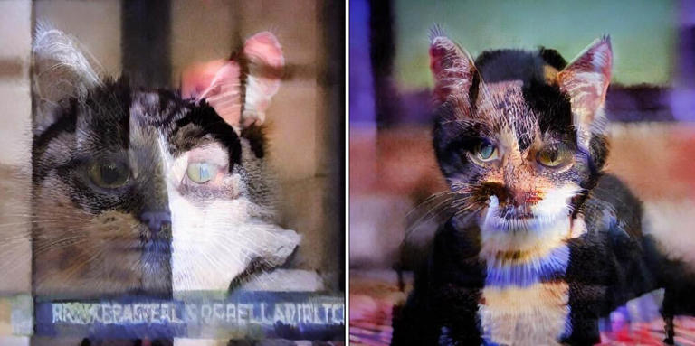 This Tool Makes Ai Models Hallucinate Cats To Fight Copyright Infringement