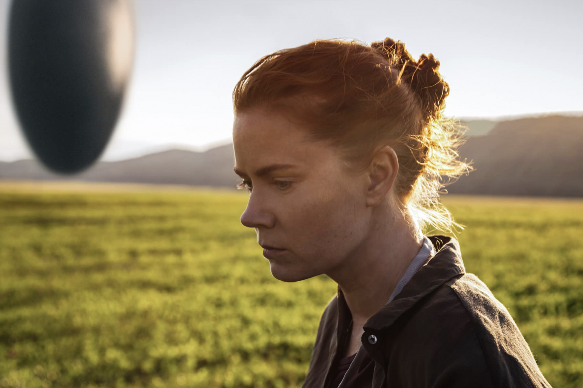 <p>Arrival - A contemporary classic in which aliens arrive on Earth with an a priori indecipherable message that turns out to be related to time.</p> <p>Photo: Paramount Pictures</p>