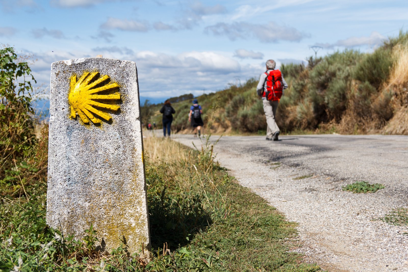 <p class="wp-caption-text">Image Credit: Shutterstock / gregorioa</p>  <p><span>The Camino de Santiago comprises several routes, each with its own unique character and challenges. The most popular is the Camino Francés, which stretches approximately 800 kilometers from Saint-Jean-Pied-de-Port in France to Santiago de Compostela in Spain. Other notable routes include the Camino Portugués, the Camino del Norte, and the Camino Primitivo. Regardless of the chosen path, pilgrims (or “peregrinos”) can expect a journey that weaves through varied landscapes, from bustling cities and quaint villages to serene forests and rugged coastlines.</span></p>