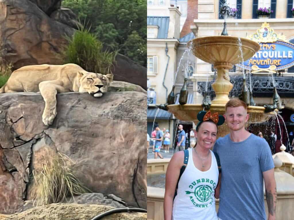 Animal Kingdom vs EPCOT: Which is Best for Your Family?