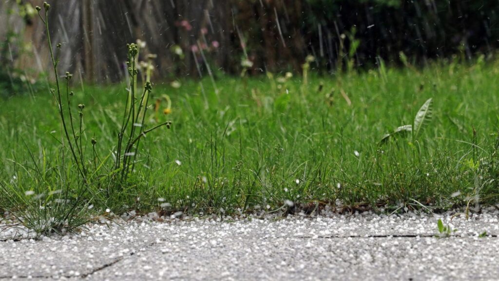 12 Natural Ways to Get Rid of Weeds Without Using Roundup