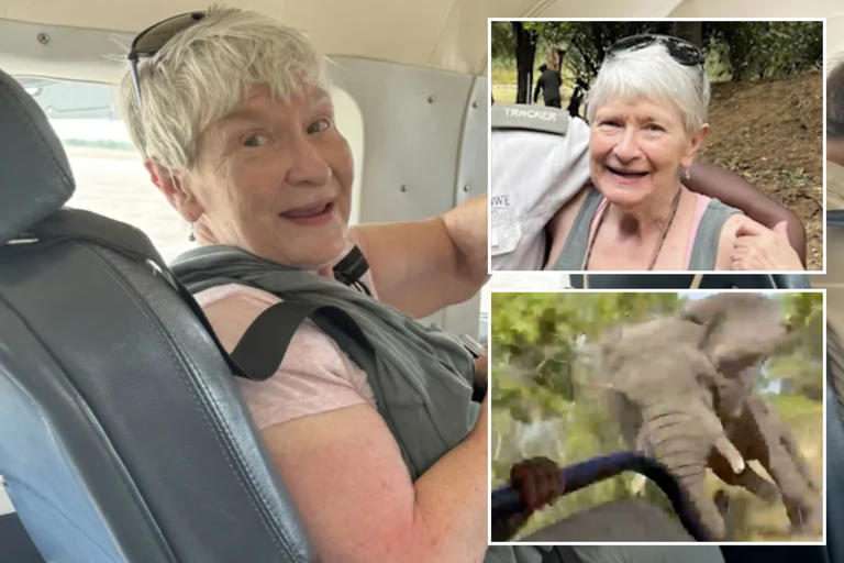 American tourist killed after elephant rammed truck on African safari seen smiling in photos before attack