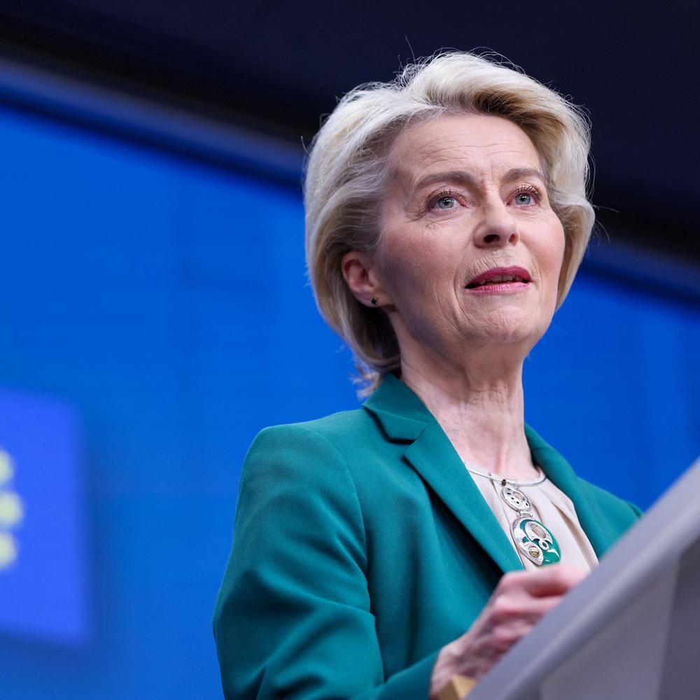 Zweifel An Dem Verfahren: Von Der Leyen Wegen Umstrittener Ernennung ...