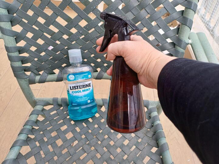 How to Make a Mouthwash Mosquito Repellent: Simple Summer Solution