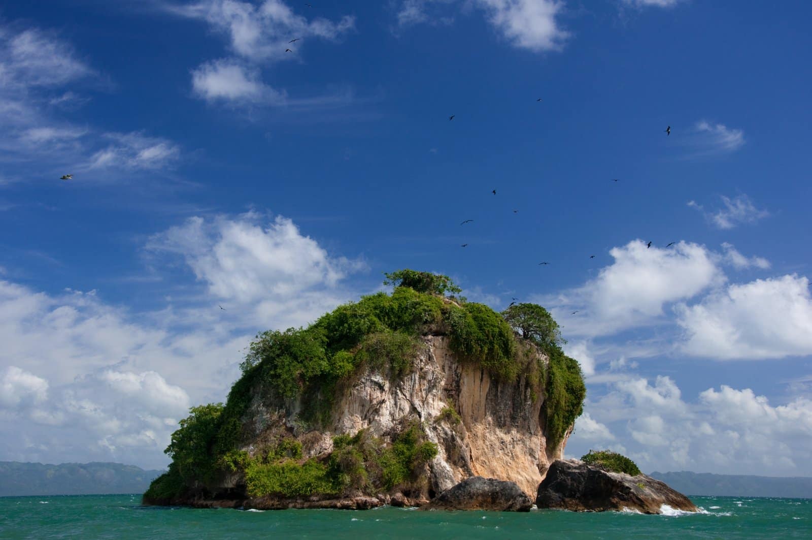 <p class="wp-caption-text">Image Credit: Shutterstock / Francois Gagnon</p>  <p><span>Los Haitises National Park, a sanctuary of ecological diversity and historical depth, offers an unparalleled glimpse into the Dominican Republic’s natural and cultural heritage. As you navigate through the park’s extensive mangrove forests by kayak, you’ll encounter a labyrinthine water world, home to a myriad of bird species, including the elusive Ridgway’s Hawk and the majestic frigate bird. The park’s rugged limestone karst landscape is dotted with caverns and sinkholes, many of which house ancient Taino petroglyphs, silently narrating the island’s pre-Columbian history. The exploration of these caves reveals the spiritual and daily life of the Taino people through their art. Above ground, the dense rainforest canopy teems with life, offering hiking trails that lead to hidden waterfalls and secluded springs, embodying the park’s commitment to preserving the island’s biodiverse ecosystems.</span></p>