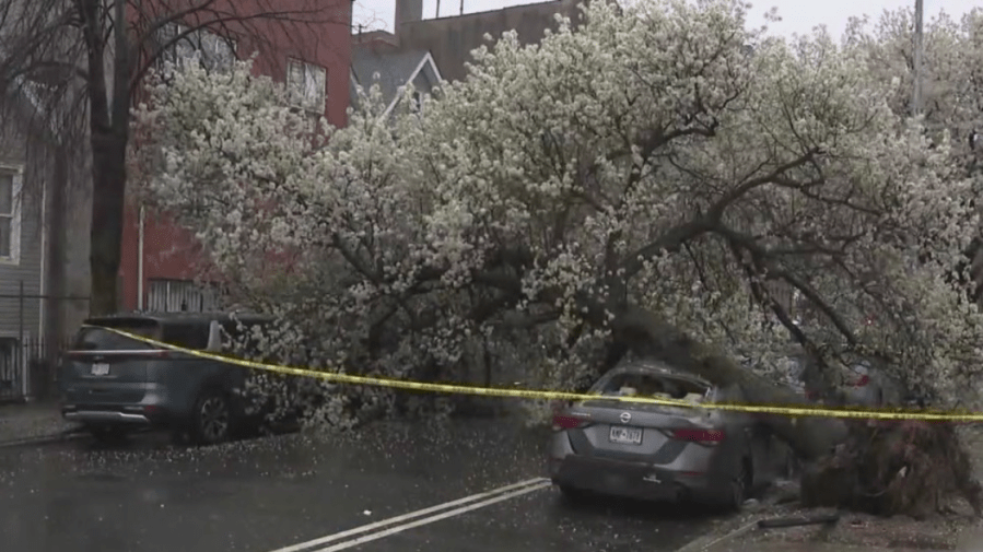 Thousands Still Without Power After Storm Batters New York City Area