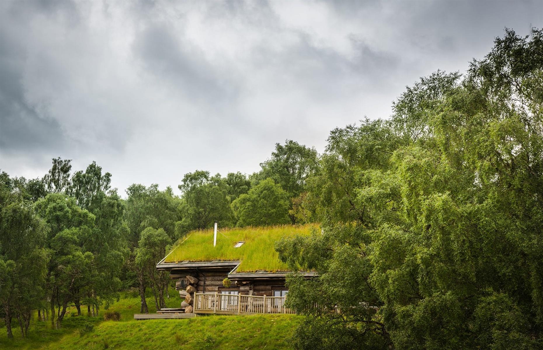 Cool Cabins Around The World Where You Can Stay