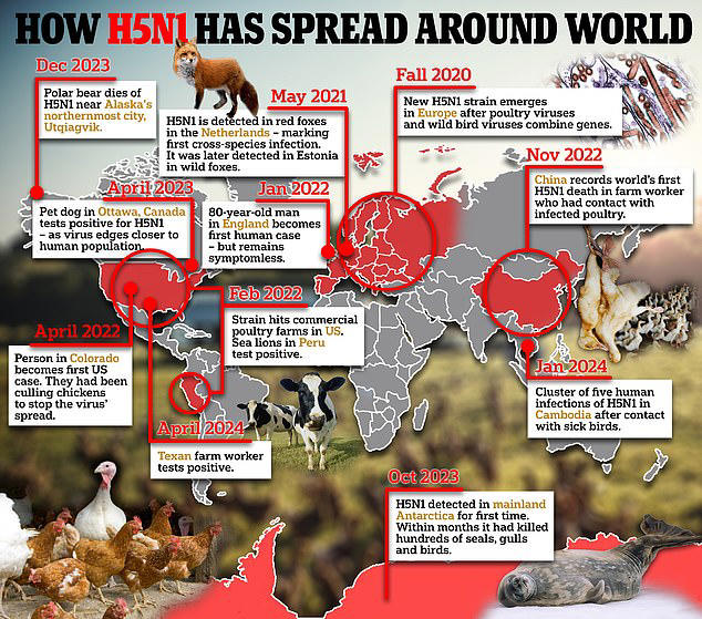 'The CDC is taking bird flu VERY seriously' Director Mandy Cohen says