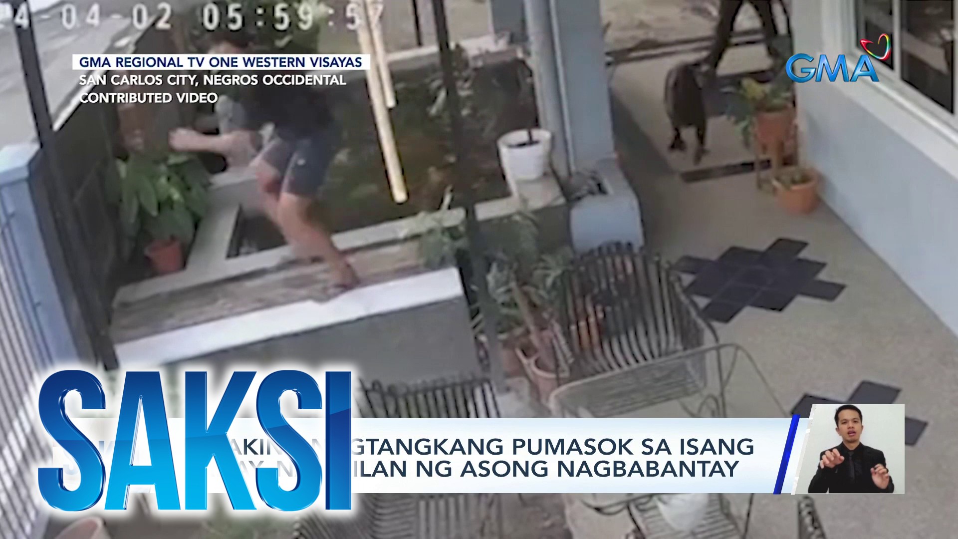 Lalaking Nagtangkang Pumasok Sa Isang Bahay, Napigilan Ng Asong ...