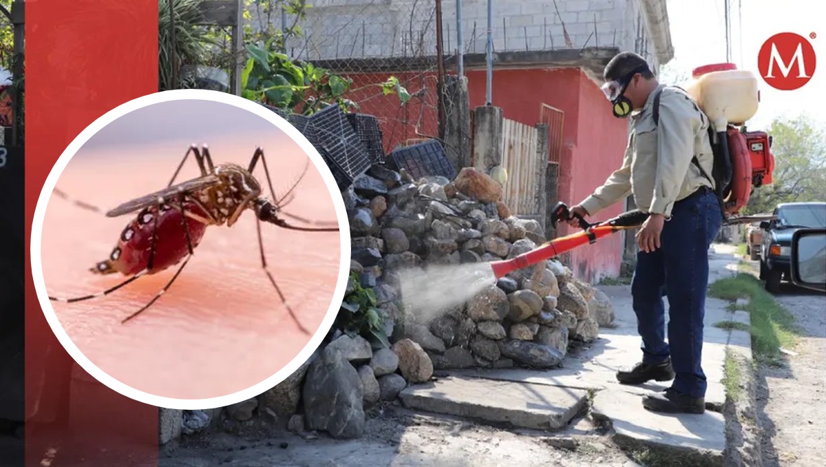 preocupa a salud cifra elevada de dengue en zona sur de tamaulipas