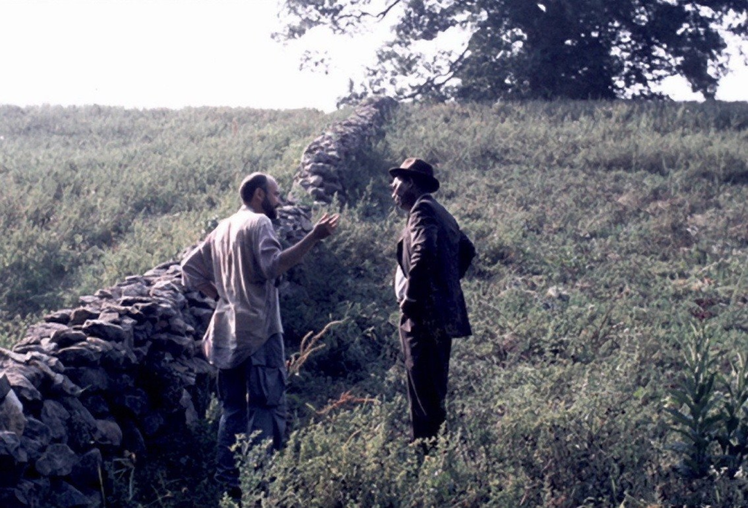 20 Facts You Might Not Know About 'The Shawshank Redemption'