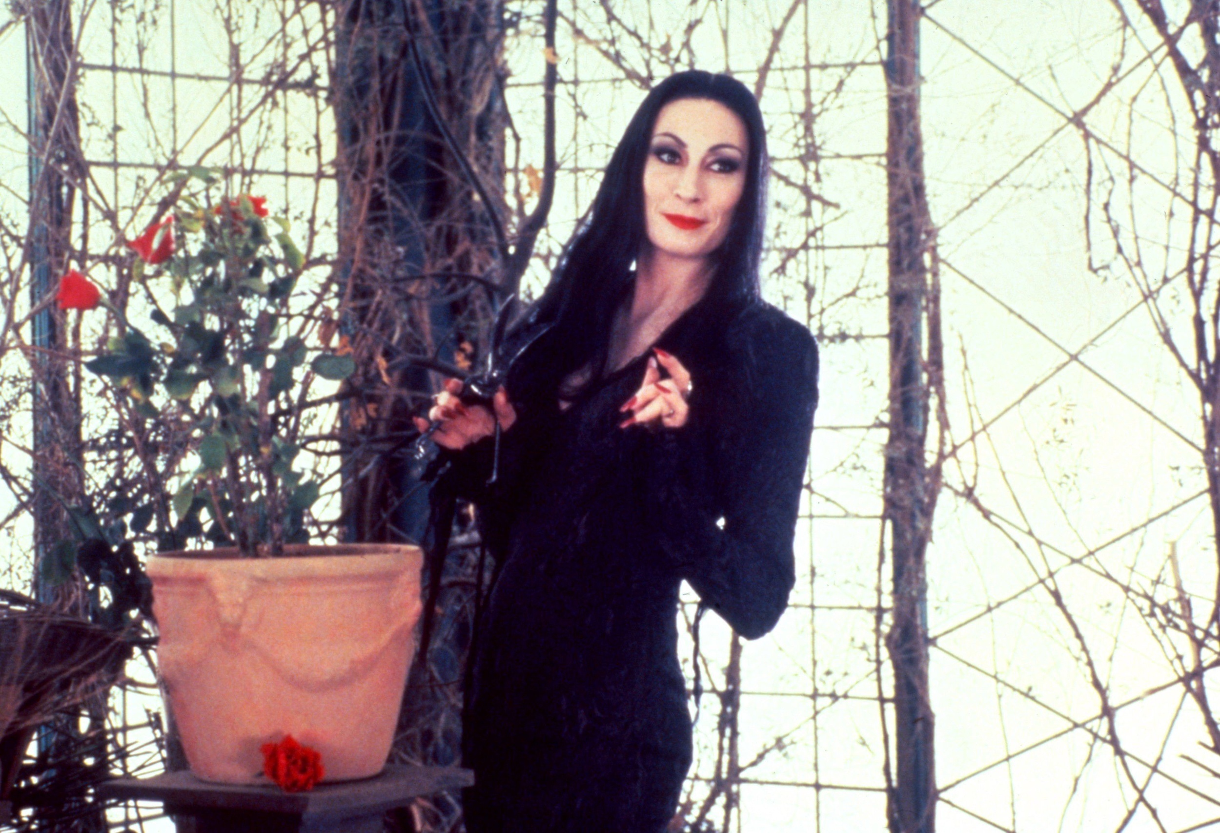 <p>Maybe this was a case of be careful what you wish for. In her autobiography, Huston said shooting the movie was “long and arduous.” For some reason, it was decided that Morticia’s eyes would slant upwards. To make this happen, an elastic strap was attached to the back of her head and glued to her temples. It was incredibly uncomfortable for her, and she had to take them off at lunch to avoid a rash and a headache. This led to hours in the makeup chair to fix everything, making it quite the vicious cycle for Huston.</p><p><a href='https://www.msn.com/en-us/community/channel/vid-cj9pqbr0vn9in2b6ddcd8sfgpfq6x6utp44fssrv6mc2gtybw0us'>Follow us on MSN to see more of our exclusive entertainment content.</a></p>