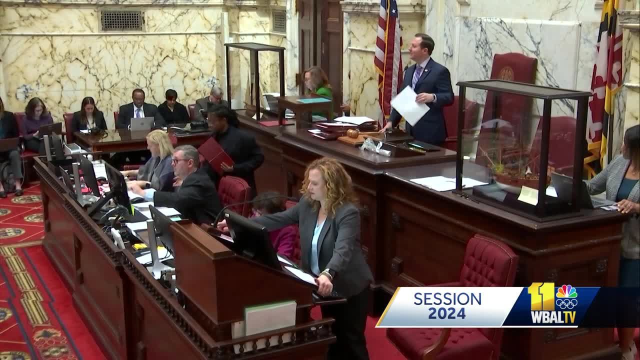 Maryland Senate Adds Several Changes To Juvenile Justice Reform Bill