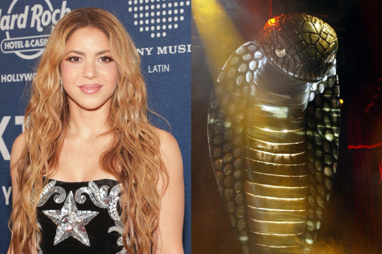 Shakira Says She ‘Lost Money' on Her First World Tour Because of a $1 Million Cobra