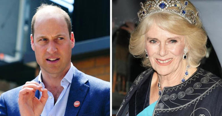 Prince William's Unlikely 'Bond': Future King and Princess Diana's Foe ...