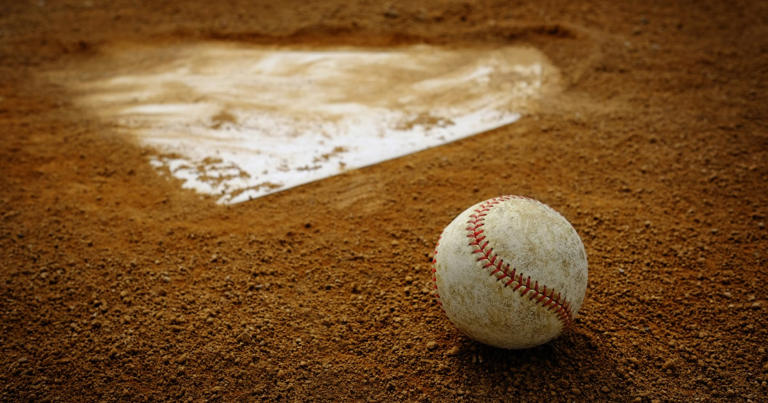 個人名が使われた唯一の球団・高橋ユニオンズ…金欠の史上最弱チームの実態