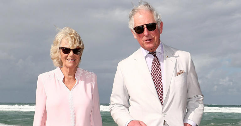 The King and Queen will visit Australia in October (Picture: EPA)
