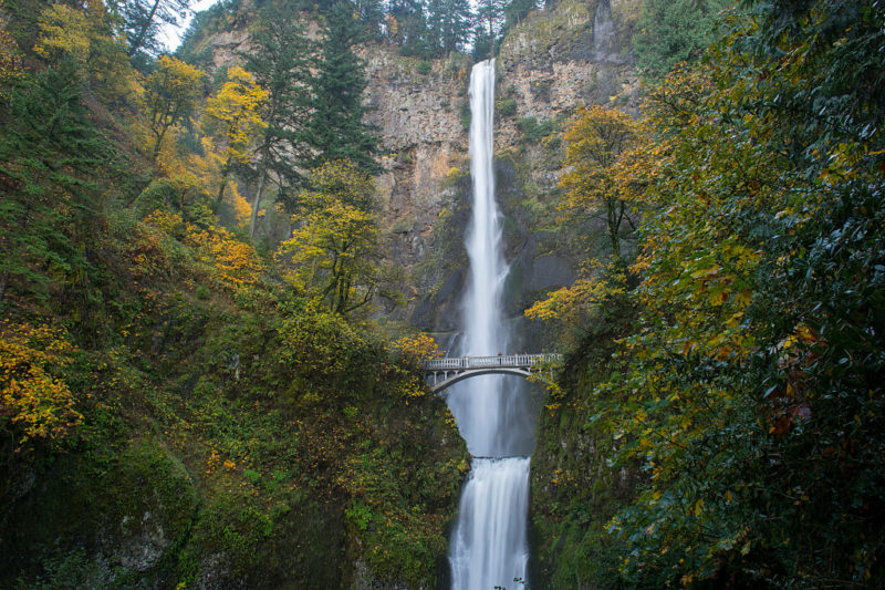 <p>The regularly-Instagrammed Multnomah Falls is a convenient 30-minute drive from <a href="https://www.outdoorrevival.com/travel/outdoor-activities-around-portland.html" rel="noopener">Portland</a>, Oregon. One of its highlights is the Benson Bridge, which runs across the front of the waterfall. Tourists who travel to the area can stay at the on-site <a href="https://www.outdoorrevival.com/news/rifugio-guide-del-cervino.html" rel="noopener">lodge</a> or eat at the nearby restaurant.</p>