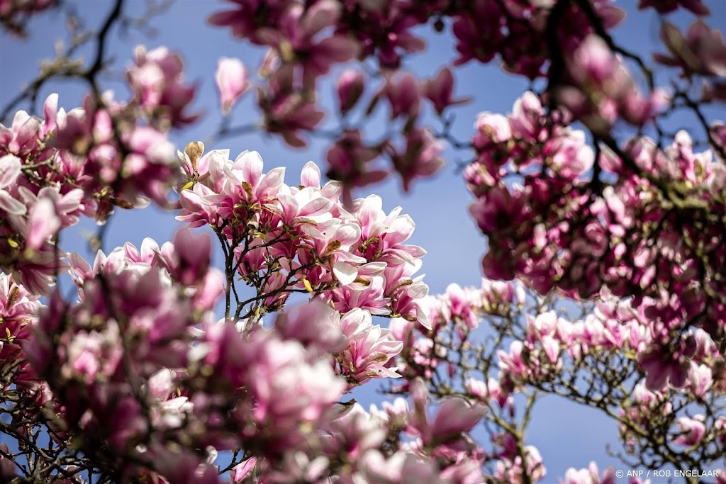 Temperatuur Dit Weekend Omhoog Met Kans Op Mogelijke Records