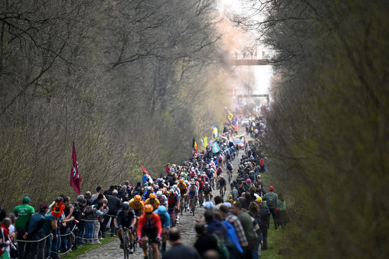  From narrowing the approach to no Arenberg at all: Six ways to solve Paris-Roubaix's trench problem 