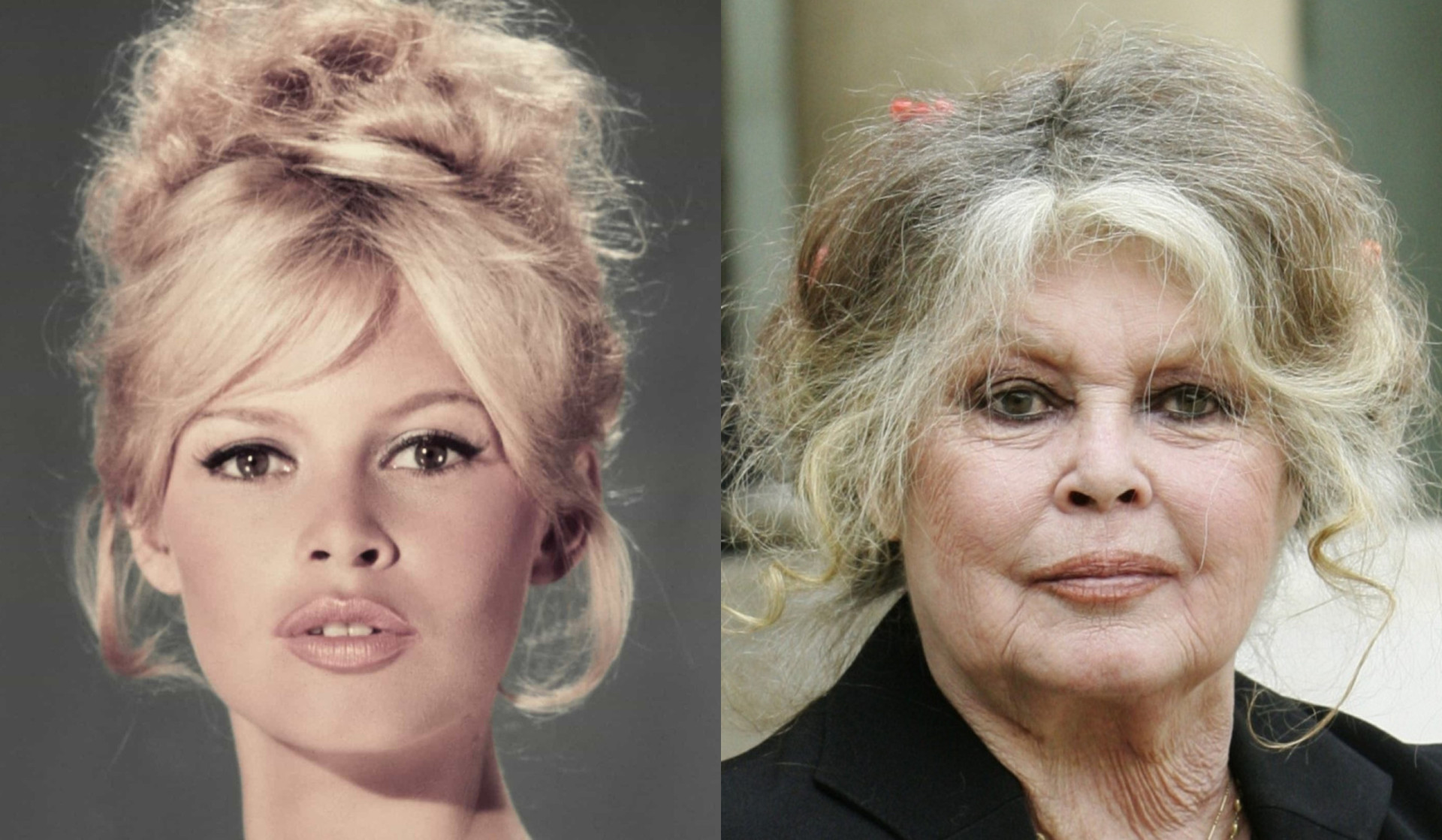 Brigitte Bardot: Die komplizierte Geschichte eines Sexsymbols