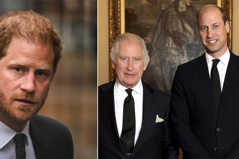 Prince Harry has 'no choice' but to meet with King Charles and Prince William on next UK visit