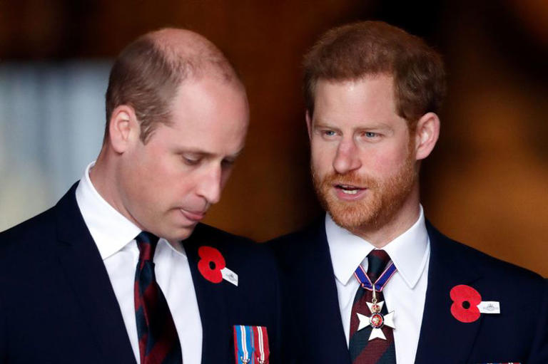 Hoàng tử Harry và Hoàng tử William