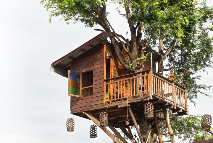 <p>This unit is more than an average treehouse. Improve your living experience with a 200-square-foot modern treehouse situated among the branches with a cozy interior, balcony, and a ladder leading to your treetop secret spot. It is an incredible fit for nature lovers seeking a unique lifestyle.</p>