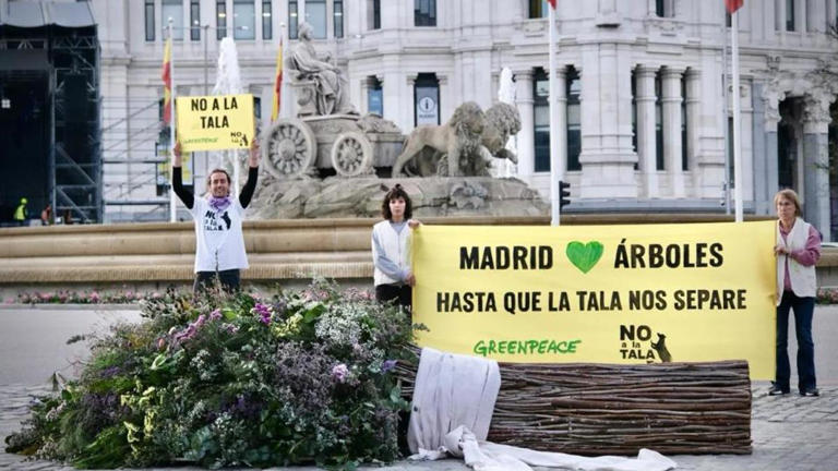 Greenpeace regala a Almeida un ramo de 'poda' con árboles talados en Madrid para celebrar el enlace del alcalde