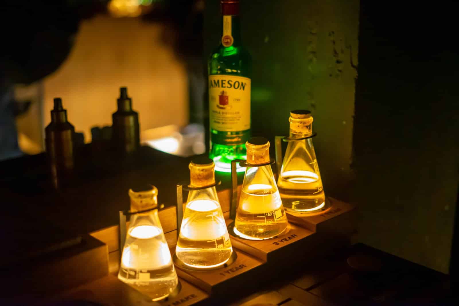 <p class="wp-caption-text">Image Credit: Shutterstock / Marcin Piwowarczyk</p>  <p><span>While not a beer destination, the Jameson Distillery on Bow St. offers insight into another facet of Dublin’s storied relationship with alcohol. The distillery provides a captivating experience that delves into Jameson whiskey’s history, production, and tasting. The guided tour is both educational and engaging, culminating in a comparative whiskey tasting that highlights the distinctive qualities of Jameson.</span></p>