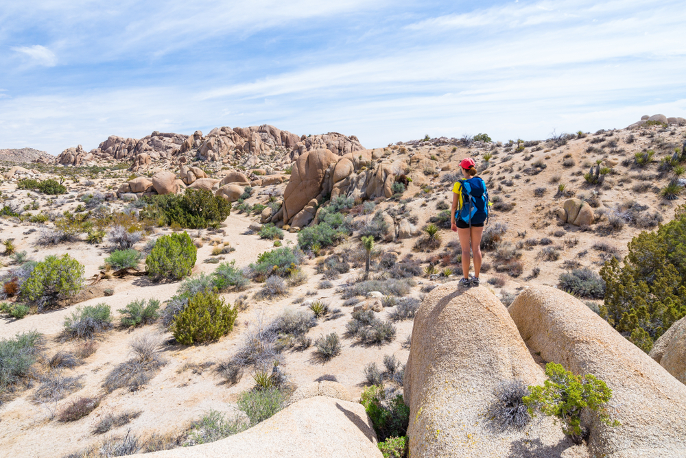 <p>Famous for its stark desert landscapes and unique flora, Joshua Tree emphasizes minimal impact tourism and conservation. The park’s camping and hiking policies encourage low-impact and leave-no-trace principles to protect its fragile ecosystem.</p>