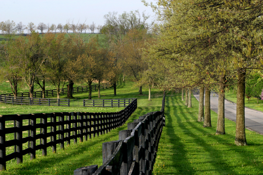 <p>Lexington integrates its equestrian heritage with sustainable practices, focusing on land conservation, sustainable farming, and eco-tourism. The city offers horse farm tours, local food experiences, and conservation education.</p>