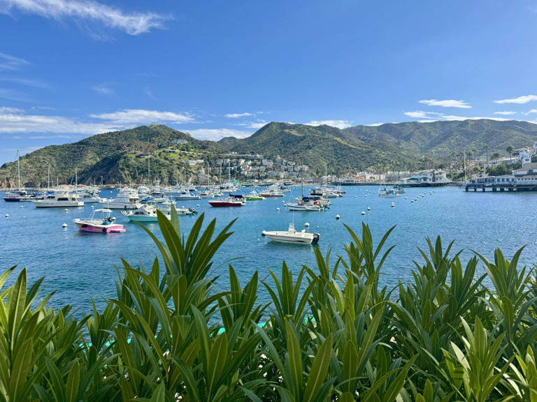 This beautiful escape just off the coast of Southern California is an island paradise. Here are the best things to do on Catalina Island.