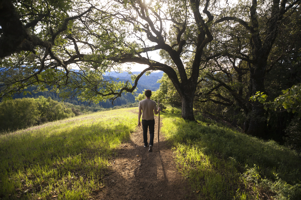 <p>Known for its wine country, Sonoma County practices sustainable viticulture and offers eco-friendly lodging and tours. Visitors can enjoy organic wine tasting, farm-to-table dining, and support sustainable agriculture.</p>