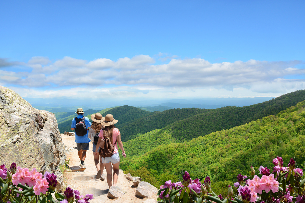 <p>Asheville’s commitment to sustainability is seen in its local food movement, eco-friendly accommodations, and support for renewable energy. The city’s green spaces and community initiatives promote an eco-conscious lifestyle.</p>
