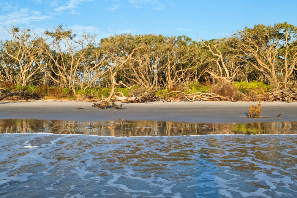 <p>Jekyll Island is dedicated to preserving its natural and historical heritage. Sustainable practices include protected wildlife areas, eco-tours, and initiatives to maintain the island’s biodiversity and cultural sites.</p>