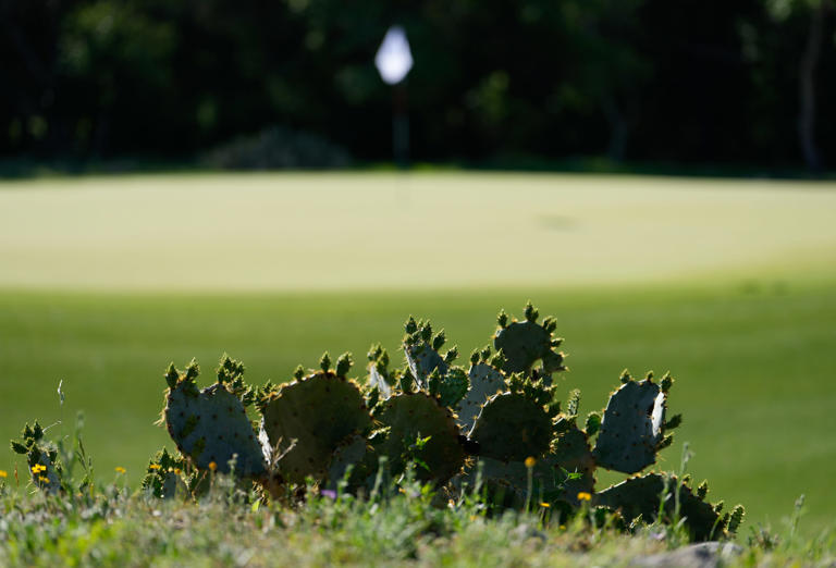 The 'unique' 16th hole at TPC San Antonio Oaks Course has a new