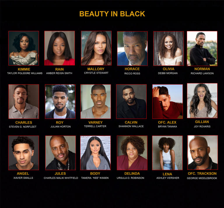 Netflix announces cast of upcoming Tyler Perry series, ‘Beauty in Black’