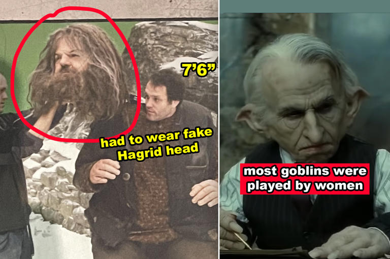 32 Untold "Harry Potter" Behind-The-Scenes Secrets And Stories I Never Knew About The Movies