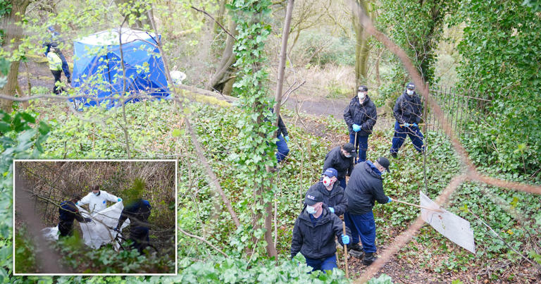 Man arrested after headless torso found in Manchester nature reserve