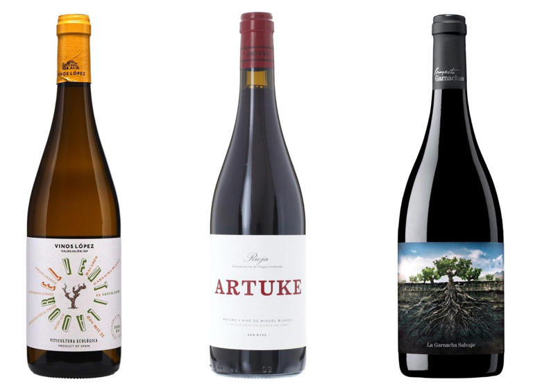 The best Spanish wines the pros all know – and you should too