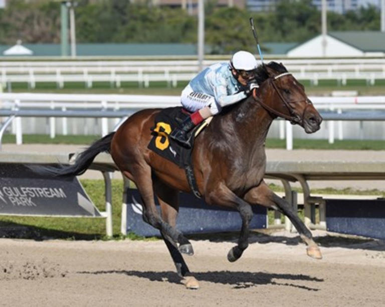 Bill Mott Taking A Shot At Derby Points With Wood Contenders Resilience ...