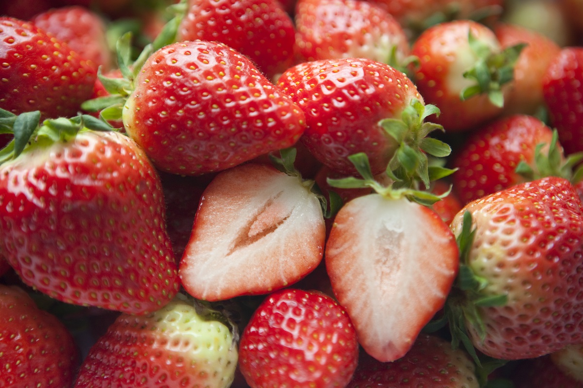 농약 친 딸기는 ‘이 맛’이 더 강하다