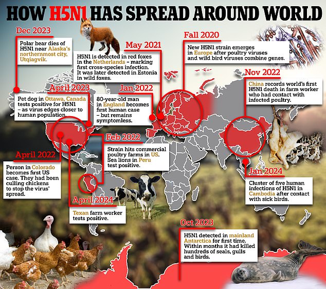 CDC Issues Fresh Bird Flu Warning For Doctors To Look Out For Symptoms ...