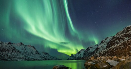 <a>The most common Northern Lights color is green, but it can also present as red, purple, white, and pink.</a>