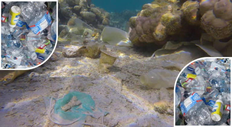 Landmark Study Reveals Just How Much Plastic Is Sitting On The Ocean Floor