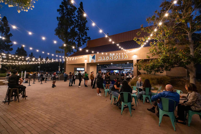 Music and comedy highlight the spring schedule at the Magnolia in El Cajon, with Alicia Villarreal, Kountry Wayne and Gipsy Kings coming up.